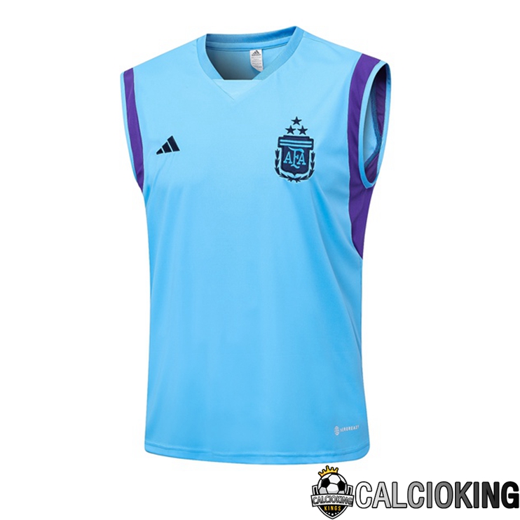 Comprare Maglia Calcio 2024 2025 2026 Personalizzazione,Tuta Da Calcio,Maglie De Calcio Retro Online | Canotta Calcio Argentina Blu 2023/2024