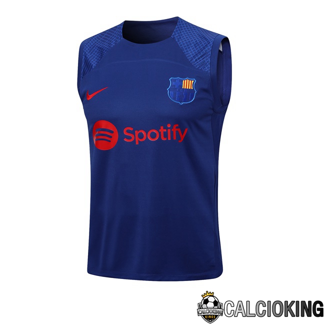 Comprare Maglia Calcio 2024 2025 2026 Personalizzazione,Tuta Da Calcio,Maglie De Calcio Retro Online | Canotta Calcio FC Barcellona Blu 2023/2024