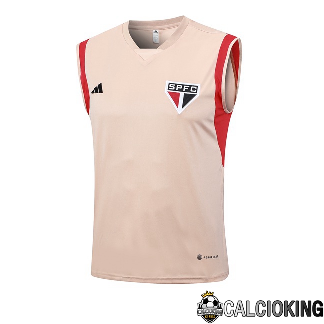 Comprare Maglia Calcio 2024 2025 2026 Personalizzazione,Tuta Da Calcio,Maglie De Calcio Retro Online | Canotta Calcio Sao Paulo FC Rosa 2023/2024