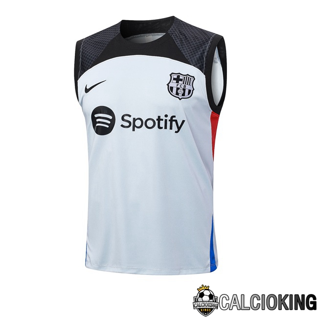 Comprare Maglia Calcio 2024 2025 2026 Personalizzazione,Tuta Da Calcio,Maglie De Calcio Retro Online | Canotta Calcio FC Barcellona Grigio 2023/2024