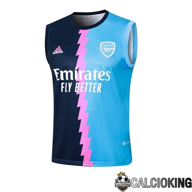 Comprare Maglia Calcio 2024 2025 2026 Personalizzazione,Tuta Da Calcio,Maglie De Calcio Retro Online | Canotta Allenamento Arsenal Blu 2024/2025
