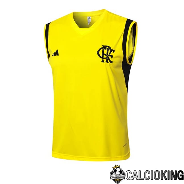 Comprare Maglia Calcio 2024 2025 2026 Personalizzazione,Tuta Da Calcio,Maglie De Calcio Retro Online | Canotta Allenamento Flamengo Giallo 2024/2025