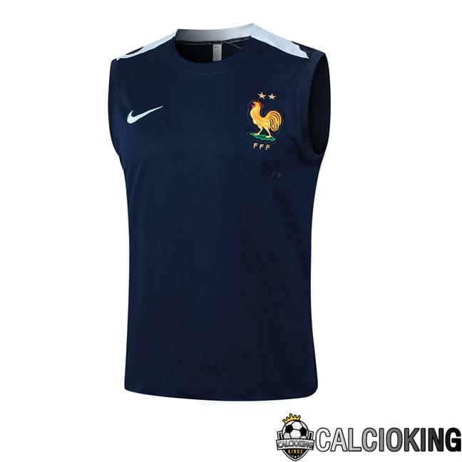 Comprare Maglia Calcio 2024 2025 2026 Personalizzazione,Tuta Da Calcio,Maglie De Calcio Retro Online | Canotta Allenamento Francia Blu Reale 2024/2025