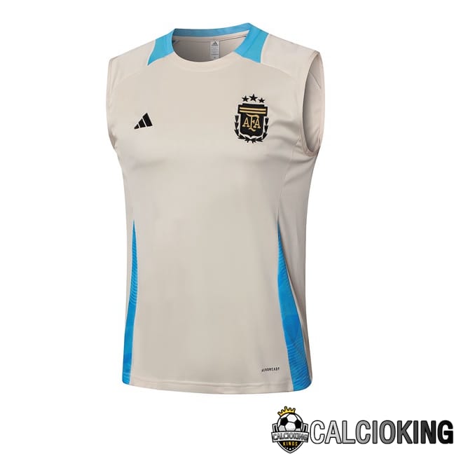 Comprare Maglia Calcio 2024 2025 2026 Personalizzazione,Tuta Da Calcio,Maglie De Calcio Retro Online | Canotta Allenamento Argentina Giallo 2024/2025