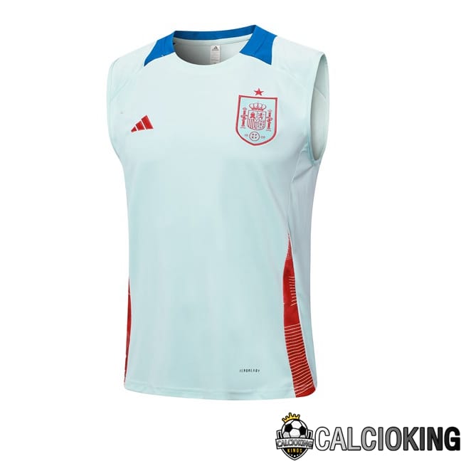 Comprare Maglia Calcio 2024 2025 2026 Personalizzazione,Tuta Da Calcio,Maglie De Calcio Retro Online | Canotta Allenamento Spagna Blu 2024/2025