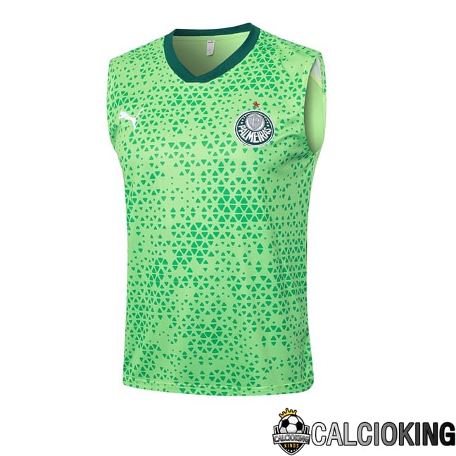 Comprare Maglia Calcio 2024 2025 2026 Personalizzazione,Tuta Da Calcio,Maglie De Calcio Retro Online | Canotta Allenamento Palmeiras Verde 2024/2025