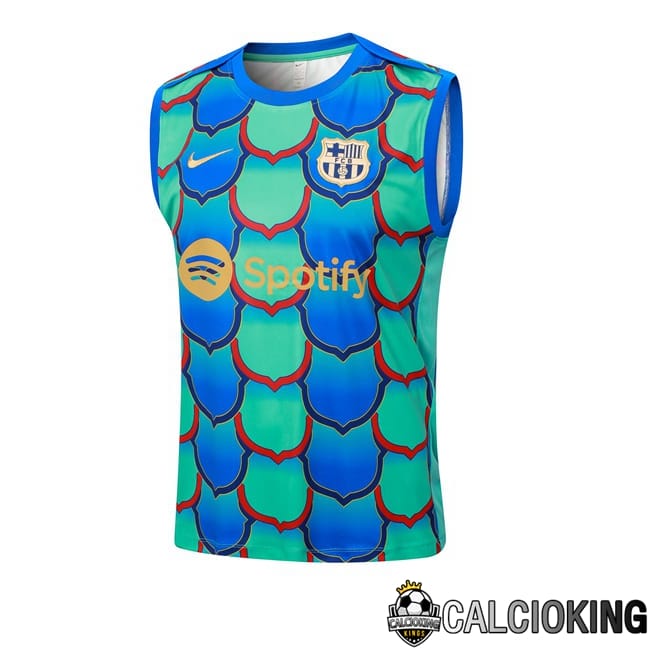 Comprare Maglia Calcio 2024 2025 2026 Personalizzazione,Tuta Da Calcio,Maglie De Calcio Retro Online | Canotta Allenamento FC Barcellona Verde Blu 2024/2025