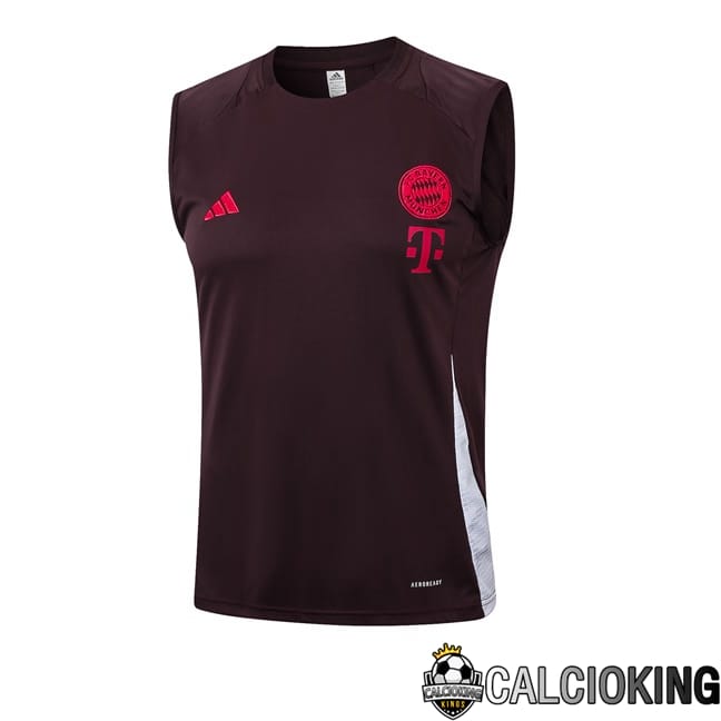 Comprare Maglia Calcio 2024 2025 2026 Personalizzazione,Tuta Da Calcio,Maglie De Calcio Retro Online | Canotta Allenamento Bayern Monaco Marrone 2024/2025