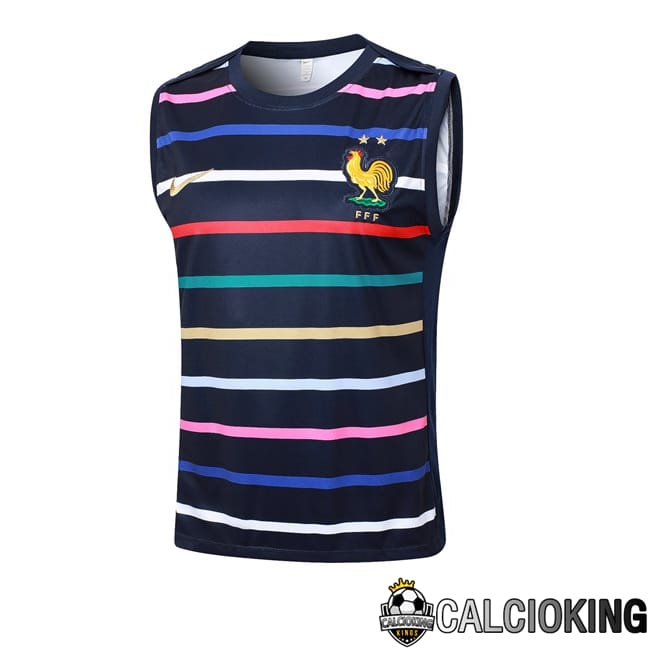 Comprare Maglia Calcio 2024 2025 2026 Personalizzazione,Tuta Da Calcio,Maglie De Calcio Retro Online | Canotta Allenamento Francia Blu Reale 2024/2025