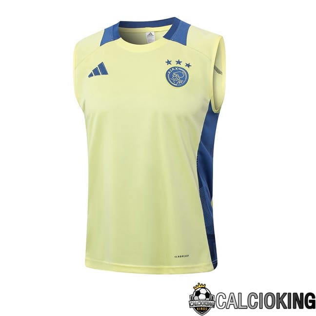 Comprare Maglia Calcio 2024 2025 2026 Personalizzazione,Tuta Da Calcio,Maglie De Calcio Retro Online | Canotta Allenamento AFC Ajax Giallo 2024/2025