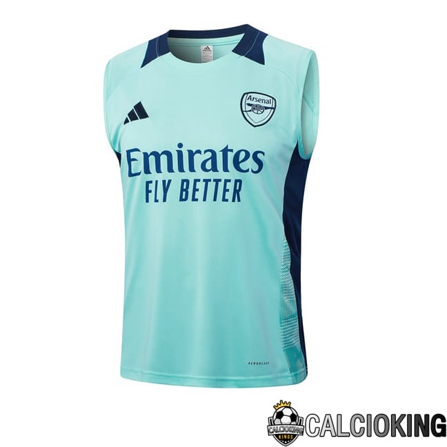 Comprare Maglia Calcio 2024 2025 2026 Personalizzazione,Tuta Da Calcio,Maglie De Calcio Retro Online | Canotta Allenamento Arsenal Blu 2024/2025