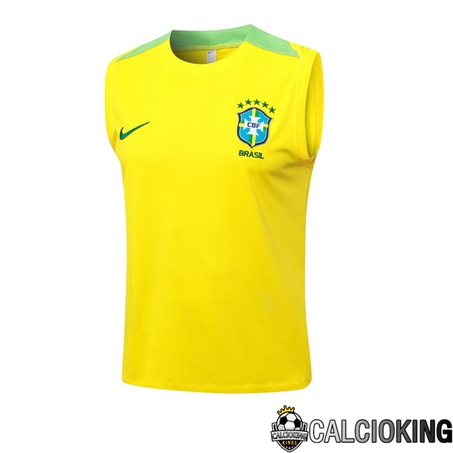 Comprare Maglia Calcio 2024 2025 2026 Personalizzazione,Tuta Da Calcio,Maglie De Calcio Retro Online | Canotta Allenamento Brasile Giallo 2024/2025