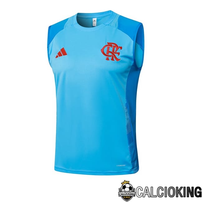 Comprare Maglia Calcio 2024 2025 2026 Personalizzazione,Tuta Da Calcio,Maglie De Calcio Retro Online | Canotta Allenamento Flamengo Blu 2025/2026