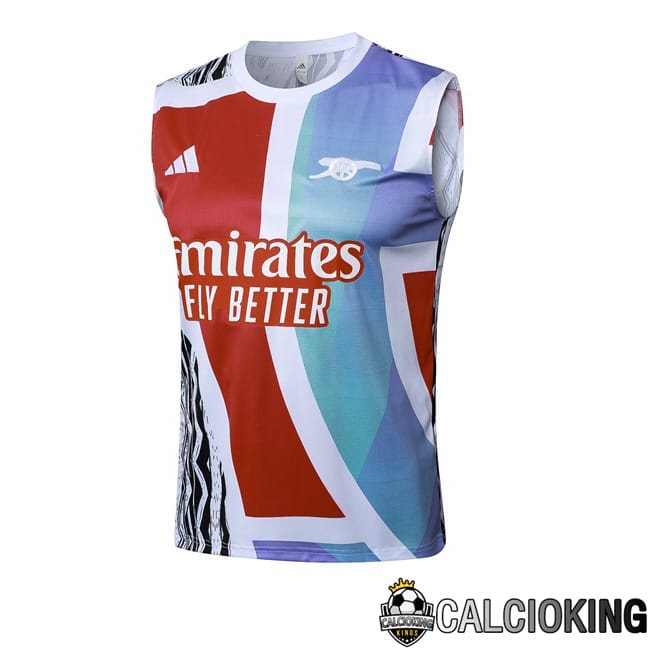 Comprare Maglia Calcio 2024 2025 2026 Personalizzazione,Tuta Da Calcio,Maglie De Calcio Retro Online | Canotta Allenamento Arsenal Rosso Blu 2025/2026
