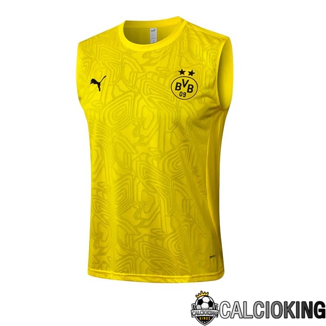 Comprare Maglia Calcio 2024 2025 2026 Personalizzazione,Tuta Da Calcio,Maglie De Calcio Retro Online | Canotta Allenamento Dortmund BVB Giallo 2025/2026