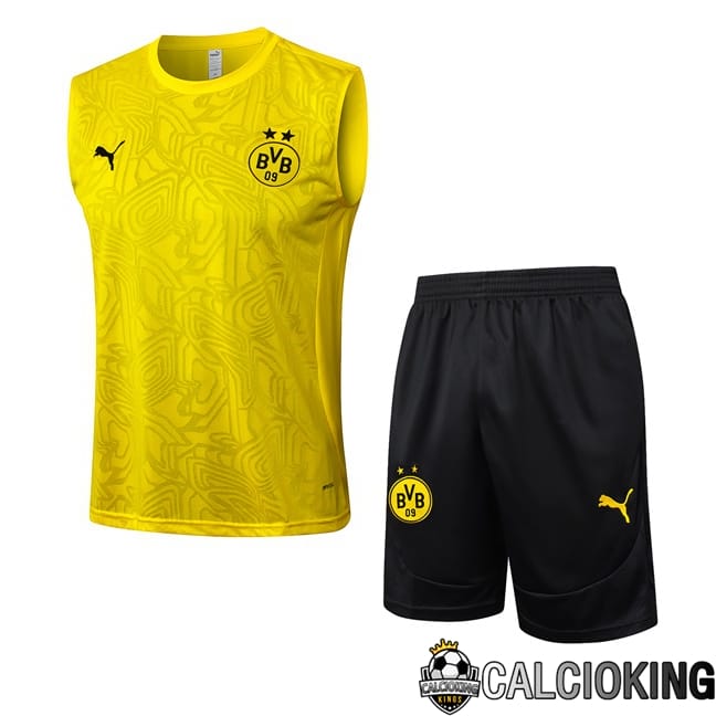 Comprare Maglia Calcio 2024 2025 2026 Personalizzazione,Tuta Da Calcio,Maglie De Calcio Retro Online | Canotta Allenamento Dortmund BVB + Pantaloncini Giallo 2025/2026