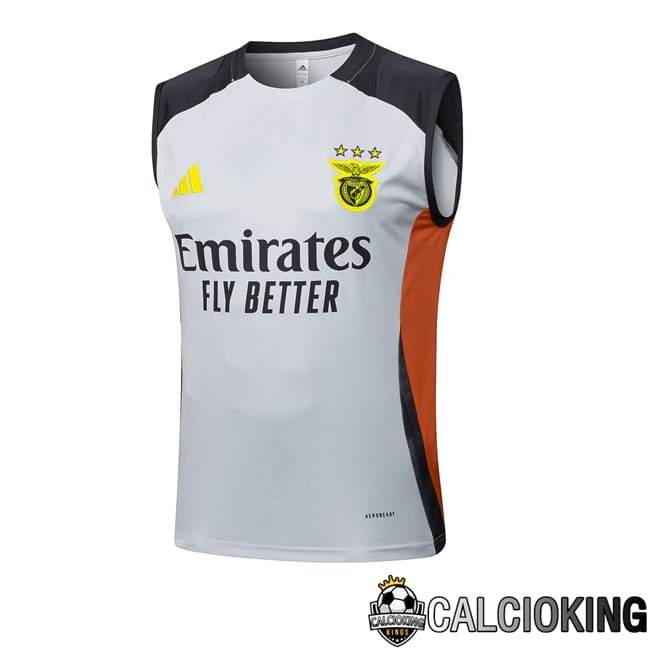 Comprare Maglia Calcio 2024 2025 2026 Personalizzazione,Tuta Da Calcio,Maglie De Calcio Retro Online | Canotta Allenamento S.L Benfica Grigio 2025/2026