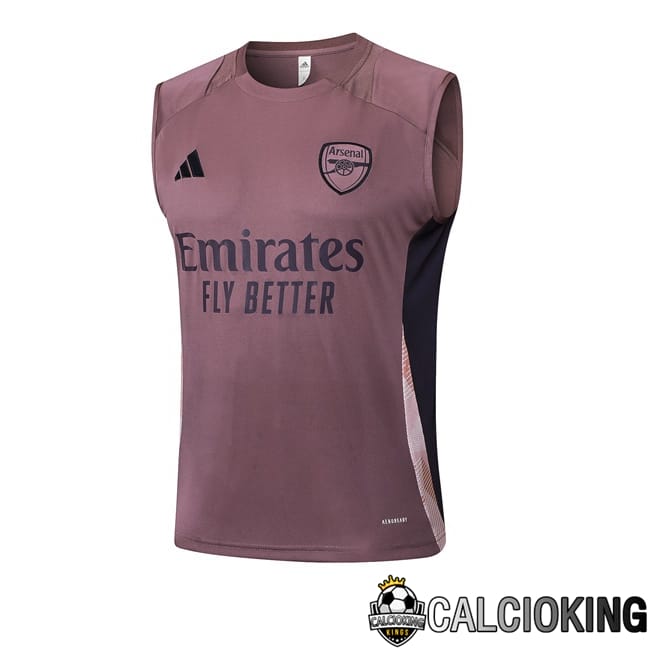 Comprare Maglia Calcio 2024 2025 2026 Personalizzazione,Tuta Da Calcio,Maglie De Calcio Retro Online | Canotta Allenamento Arsenal Viola 2025/2026