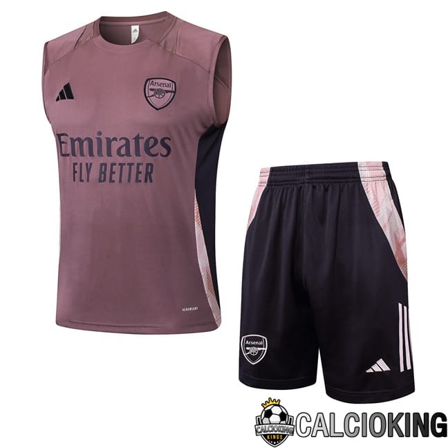 Comprare Maglia Calcio 2024 2025 2026 Personalizzazione,Tuta Da Calcio,Maglie De Calcio Retro Online | Canotta Allenamento Arsenal + Pantaloncini Viola 2025/2026