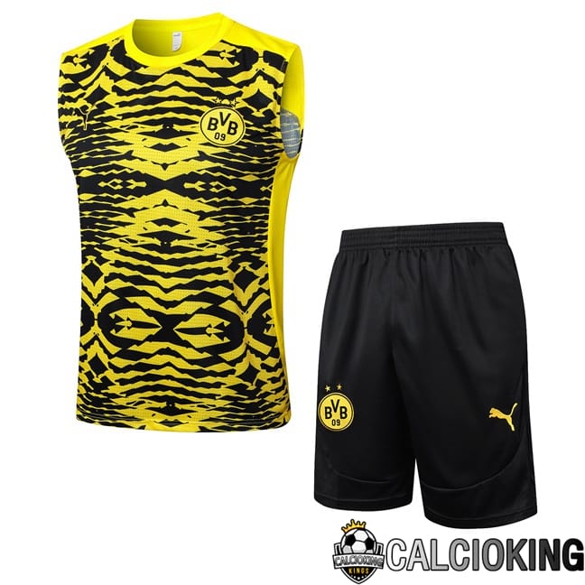 Comprare Maglia Calcio 2024 2025 2026 Personalizzazione,Tuta Da Calcio,Maglie De Calcio Retro Online | Canotta Allenamento Dortmund BVB + Pantaloncini Giallo Nero 2025/2026