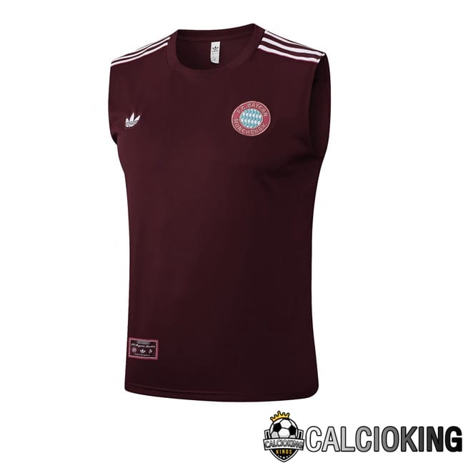 Comprare Maglia Calcio 2024 2025 2026 Personalizzazione,Tuta Da Calcio,Maglie De Calcio Retro Online | Canotta Allenamento Bayern Monaco Marrone 2025/2026