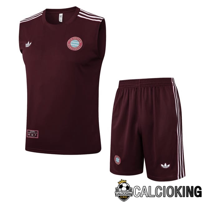 Comprare Maglia Calcio 2024 2025 2026 Personalizzazione,Tuta Da Calcio,Maglie De Calcio Retro Online | Canotta Allenamento Bayern Monaco + Pantaloncini Marrone 2025/2026