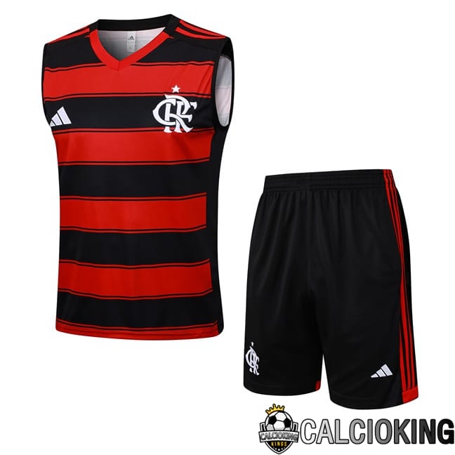 Comprare Maglia Calcio 2024 2025 2026 Personalizzazione,Tuta Da Calcio,Maglie De Calcio Retro Online | Canotta Allenamento Flamengo + Pantaloncini Rosso Nero 2025/2026