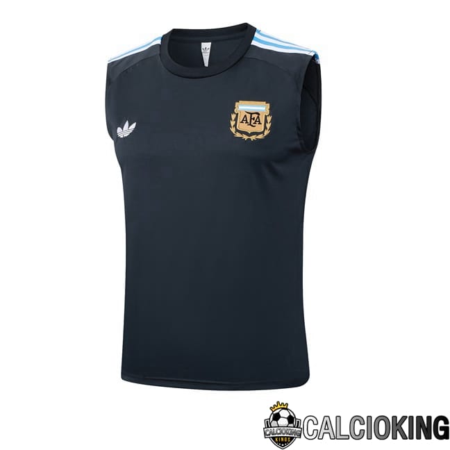Comprare Maglia Calcio 2024 2025 2026 Personalizzazione,Tuta Da Calcio,Maglie De Calcio Retro Online | Canotta Allenamento Argentina Blu Reale 2025/2026