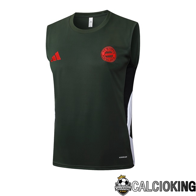 Comprare Maglia Calcio 2024 2025 2026 Personalizzazione,Tuta Da Calcio,Maglie De Calcio Retro Online | Canotta Allenamento Bayern Monaco Verde 2025/2026