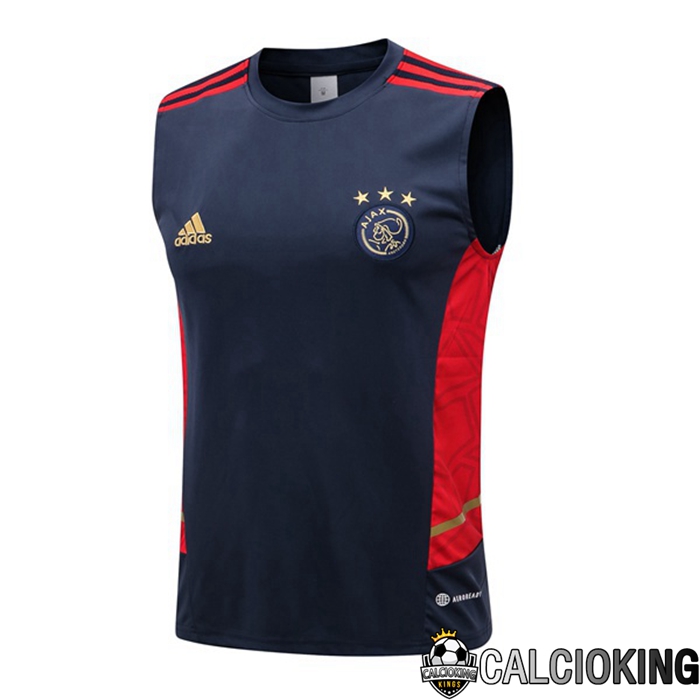 Comprare Maglia Calcio 2024 2025 2026 Personalizzazione,Tuta Da Calcio,Maglie De Calcio Retro Online | Canotta De Calcio AFC Ajax Blu Reale 2022/2023