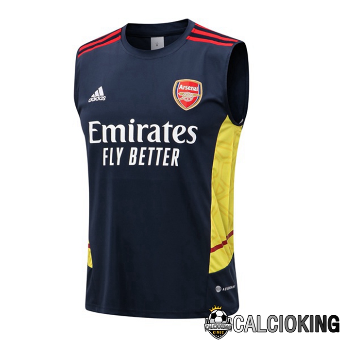 Comprare Maglia Calcio 2024 2025 2026 Personalizzazione,Tuta Da Calcio,Maglie De Calcio Retro Online | Canotta De Calcio Arsenal Blu Reale 2022/2023