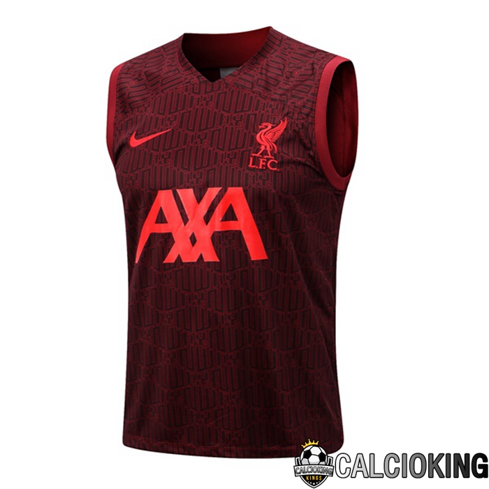 Comprare Maglia Calcio 2024 2025 2026 Personalizzazione,Tuta Da Calcio,Maglie De Calcio Retro Online | Canotta De Calcio FC Liverpool Rosso 2022/2023