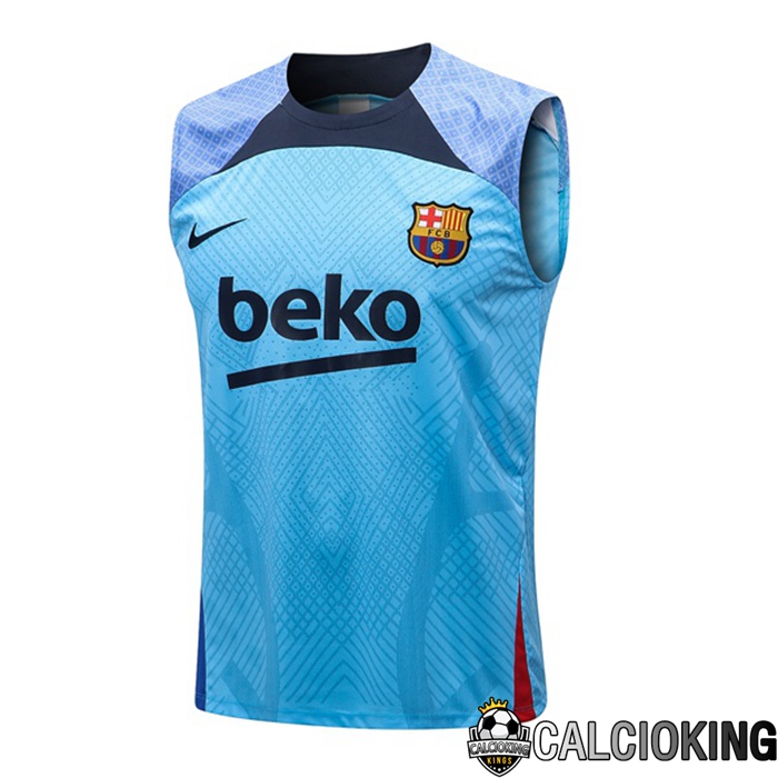 Comprare Maglia Calcio 2024 2025 2026 Personalizzazione,Tuta Da Calcio,Maglie De Calcio Retro Online | Canotta De Calcio FC Barcellona Blu 2022/2023