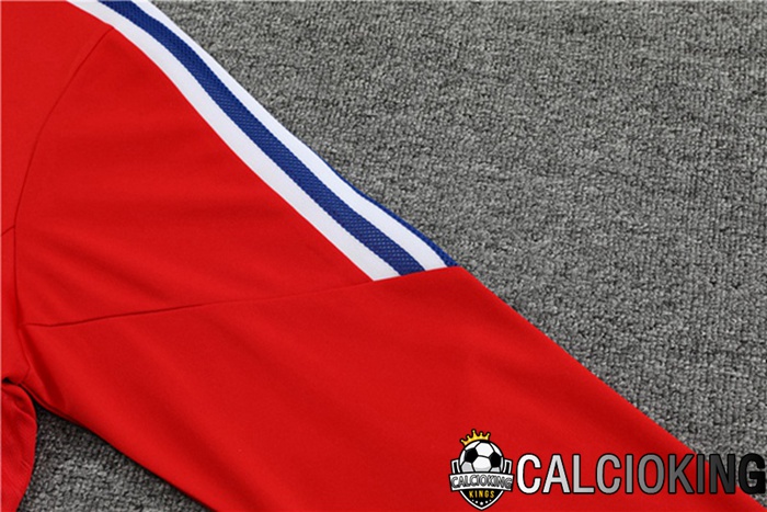 Insieme Tuta Calcio Bayern Monaco Rosso 2023/2024