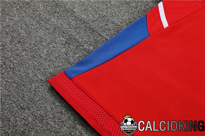 Insieme Tuta Calcio Bayern Monaco Collo alto Rosso 2023/2024