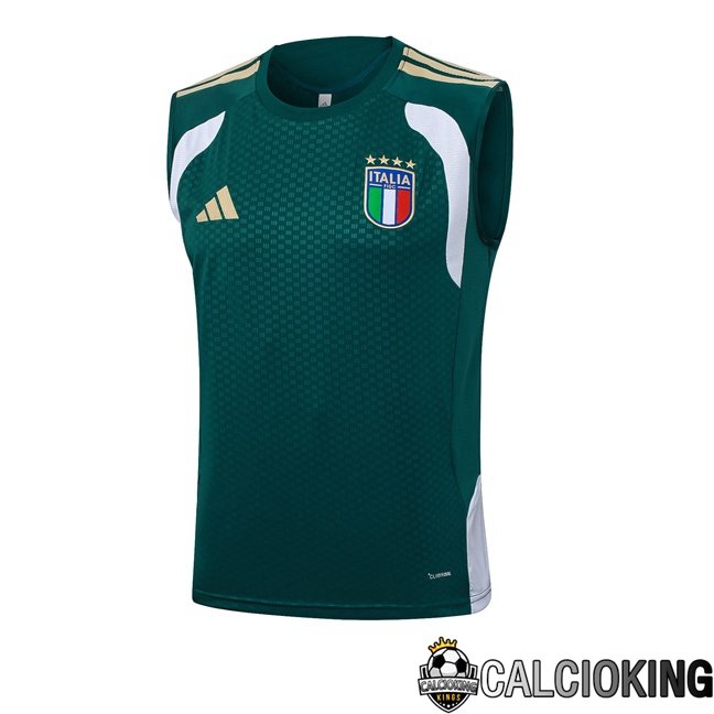 Comprare Maglia Calcio 2025 2026 2027 Personalizzazione,Tuta Da Calcio,Maglie De Calcio Retro Online | Canotta Allenamento Italia Verde 2026/2027