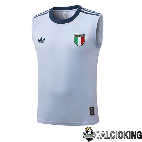 Comprare Maglia Calcio 2025 2026 2027 Personalizzazione,Tuta Da Calcio,Maglie De Calcio Retro Online | Training Debardeurs Italia Azzurro 2026/2027