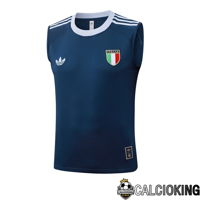 Comprare Maglia Calcio 2025 2026 2027 Personalizzazione,Tuta Da Calcio,Maglie De Calcio Retro Online | Canotta Allenamento Italia Blu Reale 2026/2027