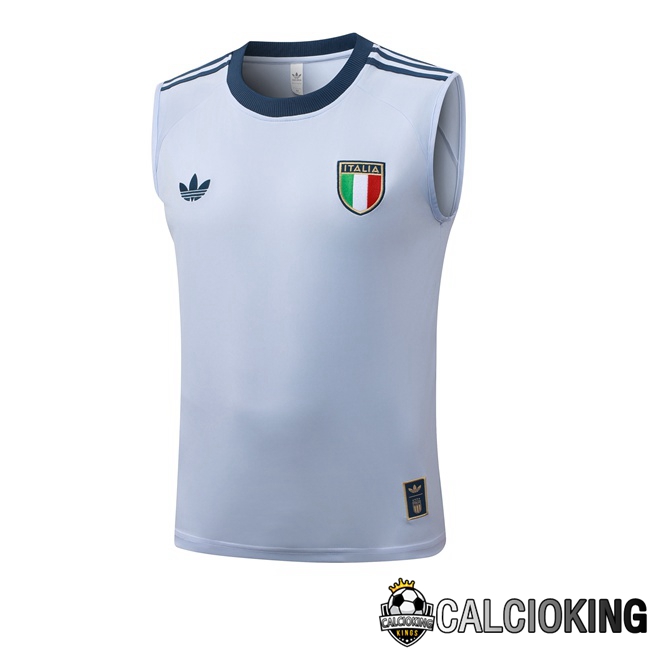 Comprare Maglia Calcio 2025 2026 2027 Personalizzazione,Tuta Da Calcio,Maglie De Calcio Retro Online | Canotta Allenamento Italia Grigio 2026/2027